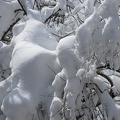flickr-10201939376.jpg