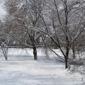 flickr-10049895104.jpg